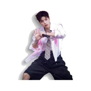 Short Baggy Stray Kids Oficial
