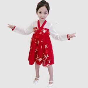 Hanfu Infantil Coreano Premium (2)