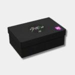 Gift Box Oficial Stray Kids