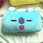 Cojín BT21 Premium (5)