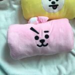 Cojín BT21 Premium (6)