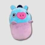 Peluche BT21 Oval - Diseño Exclusivo (3)