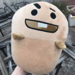 Peluche BT21 Oval - Diseño Exclusivo (5)