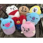Peluche BT21 Oval - Diseño Exclusivo (8)