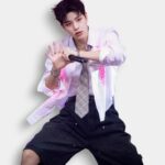 Short Baggy Stray Kids Oficial
