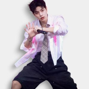Short Baggy Stray Kids Oficial