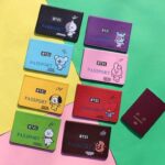 Funda de Pasaporte BT21 Oficial (11)