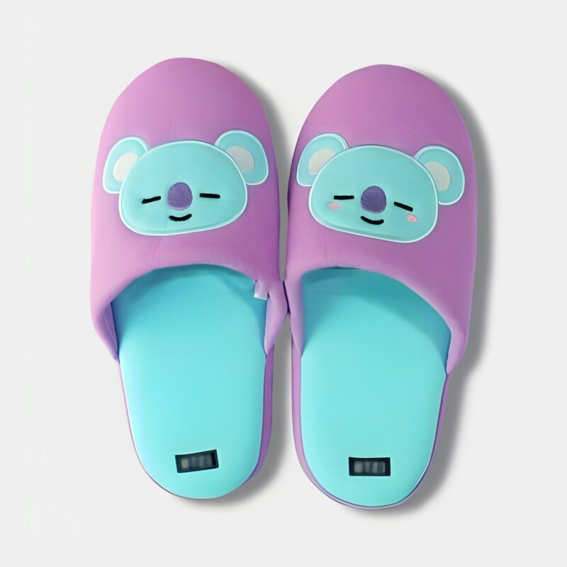 Pantuflas BT21 - Comodidad y Estilo
