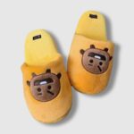 Pantuflas BT21 - Comodidad y Estilo (2)